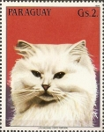 Stamps : America : Paraguay :  Gatos