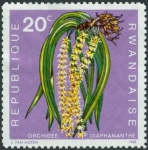 Stamps : Africa : Rwanda :  Flora nativa, Diaphananthe fragrantissima