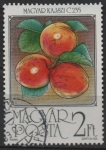 Stamps Hungary -  Albaricoques