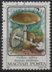 Sellos de Europa - Hungr�a -  Hongos: Amanita phalloides