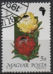 Stamps Hungary -  Flores d' Africa, Barbigera protea