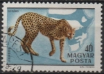 Stamps Hungary -  Gepardo