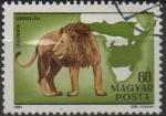 Stamps Hungary -  León