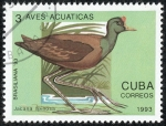 Sellos de America - Cuba -  Aves acuaticas