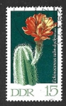 Stamps Germany -  1253 - Cactus (DDR)