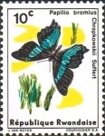 Stamps : Africa : Rwanda :  Mariposas (1965), cola de golondrina ancha de bandas verdes (Papilio bromius)