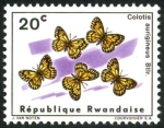 Sellos del Mundo : Africa : Rwanda : Mariposas (1965), árabe dorada africana (Colitis aurigineus)