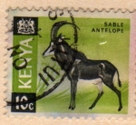 Stamps Kenya -  1966 Antilope sable