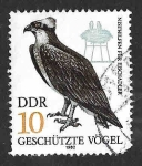 Stamps Germany -  2265 - Protección de las Aves Rapaces (DDR)