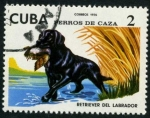 Stamps Cuba -  Perros de caza