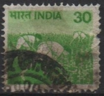 Stamps India -  Cultivo del maíz