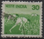 Sellos de Asia - India -  Cultivo del maíz