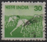 Stamps India -  Cultivo del maíz