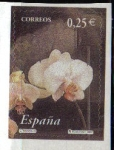 Stamps Spain -  ESPAÑA 2002 3873 Sello Nuevo Flora y Fauna Naranjo