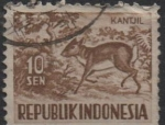 Sellos de Asia - Indonesia -  Pequeña chevrotain malayo