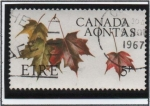 Stamps Ireland -  Hojas d' Arce