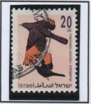 Stamps Israel -  Pajaros. Grackle d' Tristram