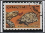Stamps : Asia : Kazakhstan :  Restiles: Agrionemys horsfieldi