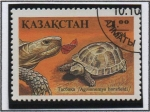 Stamps Kazakhstan -  Restiles: Agrionemys horsfieldi