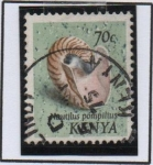 Stamps Kenya -  Nautilus pompilius