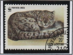 Stamps : Asia : Kazakhstan :  Pantera Incia