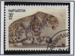 Stamps : Asia : Kazakhstan :  Pantera Incia