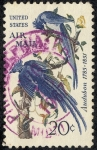 Stamps United States -  pajaros