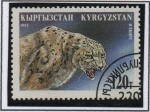 Stamps Asia - Kyrgyzstan -  Animales Salvajes: Leopardo d' Nieve