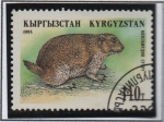 Stamps Asia - Kyrgyzstan -  Animales Salvajes: Marmota