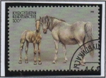 Stamps Asia - Kyrgyzstan -  Caballos