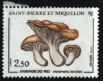 Stamps San Pierre & Miquelon -  Higróforo de los prados