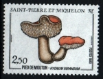 Stamps San Pierre & Miquelon -  Lengua de vaca