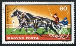 Stamps : Europe : Hungary :  Carreras caballos