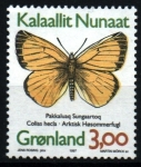 Sellos de Europa - Groenlandia -  serie- Mariposas