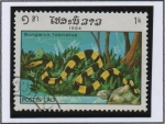 Stamps Laos -  Reptiles, Bungarus Fasciatus