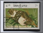 Sellos de Asia - Laos -  Reptiles, Piton Reticulatus