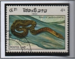 Stamps Laos -  Reptiles, Natri subminiata