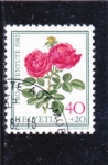 Stamps Switzerland -  rosas- Pro-Juventud