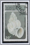 Stamps Laos -  Epitonium prestiosun