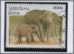 Stamps Laos -  Elefantes, Adulto y becerro Loxodonta Africana