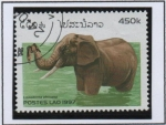 Stamps Laos -  Elefantes, Adulto en el agua