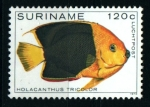 Stamps Suriname -  serie- Peces