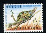 Stamps : Europe : Belgium :  Aniversario del zoo