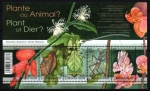 Stamps Belgium -  Planta ó animal