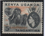 Sellos de Africa - Kenya -  Isabel II, Loxodonta africana