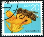 Stamps Germany -  serie- Abejas y diversas flores