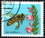 Stamps Germany -  serie- Abejas y diversas flores