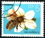 Stamps Germany -  serie- Abejas y diversas flores