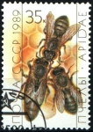 Stamps Russia -  serie- Las abejas- Reina y obreras