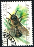 Stamps Russia -  serie- Las abejas- Zangano